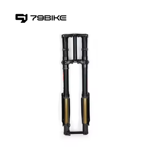 79bike Electric dirt bike OEM Original Parts 79Bike Falcon Pro FastAce ALX33RC 2.0 Fork
