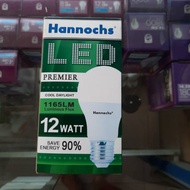 Hannochs 12 watt LED light bulb