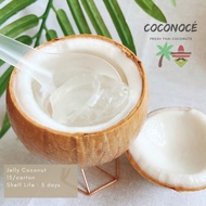 Taho Jelly Coconut [Carton of 15]