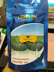 ฟักทองทองอำไพ426  💥ฟักทองผลใหญ่น้ำหนักดี ฟักทองผิวคางคก ทรงสวยต้นแข็งแรง ผลผลิตเกรดเอสูง เนื้อแน่นเห