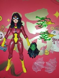大倉R 不議價 Hasbro Marvel Legends dc Universe 6 Inch 6吋 dc shf PVC製 Spider-Man 2 蜘蛛俠 X-MEN Action Figure