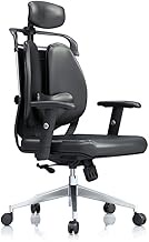 Ergonomic Computer Chair Home Office Chair Boss Chair Student Chair Gaming Chair Reclining Waist Double Back Chair (Color : Fabric Blue) interesting