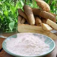 Garut Flour/Pathy Stomach Acid/Arkrik /ARROWROOT 500Gr/wrinkles/lerutin/ulcer Medicine