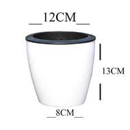 Automatic Watering Pot Size 5 Inches 12*13 CM