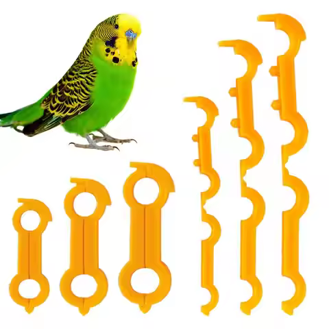 5Pcs 4/5/6Mm Parrot Corrector Chicken Budgie Peony Budgie Cockatiel Fledgling Bird Eight Character C