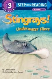 Stingrays! Underwater Fliers Carole Gerber