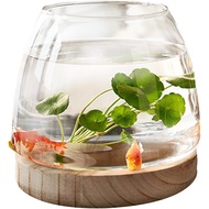 Glass Fish Bowl with Wooden Base, Clear Terrarium Globe Fish Tank Flower Vase Small Aquarium Betta F