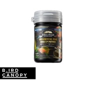 AZOO Ornamental Fish Shrimp Patties 60ML Fish Food by Bird Canopy