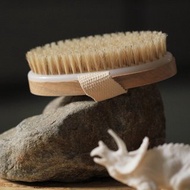 寵物沐浴刷/安撫刷