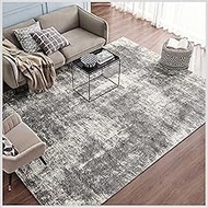 Eviva 8x10 Area Rugs for Living Room Polypropylene Turkish Rug Indoor Low Pile Large 8 X 10' Rug wit
