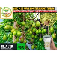Pupuk AGRO PLUS/Pupuk BOOSTER TERBAIK BOOSTER BUNGA BUAH KELENGKENG MANGGA DURIAN JERUK JAMBU ALPUKA