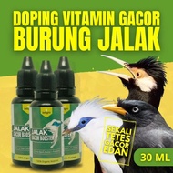 Vitamin Burung Jalak Suren Gacor Vitamin Burung Jalak Kebo Gacor