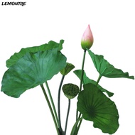 LEMONTRE Artificial Flower, Landscape Long Stem Artificial Lotus, Lotus Lotus Leaf Artificial Flower