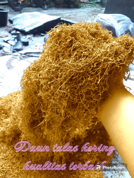 DAUN TALAS KERING TRADISIONAL HERBAL RAJANGAN HALUS KUALITAS PREMIUM 500 gram