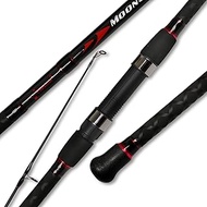 Fiblink Surf Spinning Fishing Rod 2-Piece Graphite Travel Fishing Rod(12-Feet & 10-Feet)