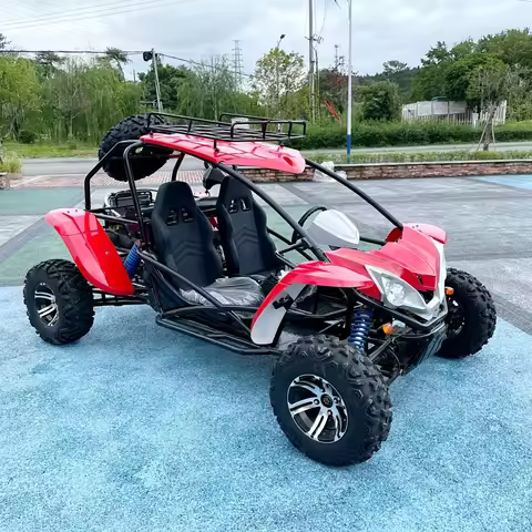 Adult Go Kart 150/200/300/400cc Gocart 2 Seat Two People Beach Buggy Outdoor Entertainment