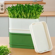 Household Soybean Sprout Mung Bean Sprout Basin Water-Free Bean Sprout Machine Germinated Bean Sprou