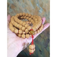 Rare XL 13mm "ginger yellow" 5 Mukhi (Faces) "Double-Dragon Panlong"Rudraksha 108 mala beads/necklace/handheld
