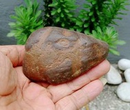 天然台灣奇石鐵丸石小擺件/龜甲石，自然形成雅石小擺件，原石原礦，重約299公克，珍藏品出清299元