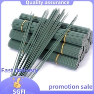 100Pcs 14Gauge Iron Wire Sticks for DIY Floral and Craft Projects, 12Inch.fivepointsg
