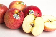 紐西蘭有機富士蘋果#100 25顆(175g±5%/顆)