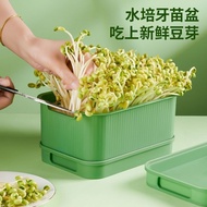 Household Germination Special Planting Pot Soy Sprout Mung Bean Sprout Bean Sprout Machine Change Wa