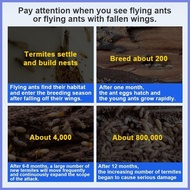 ☜ ✎ ◆ termites DPP Termite spray killing  termite killer spray Anay termit killer for wood Solignum