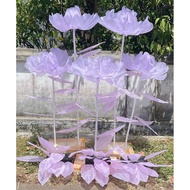 Giant flower extra leaves