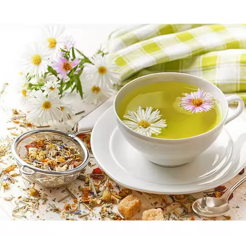 DUMBORC P10FG P6DCG P4FMG P6FP P6FG 4/6/10CH Mini Coach Module Receiver for X4 X6PM X10P X6 DDF-350 