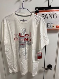 Nike Air Jordan AJ Slam Dunk figure tshirt tee 櫻木花道