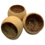 Thailand Natural Bell cup for aquarium - FISHBALL SIZE (Aquatic Botanicals) (leaf litter)