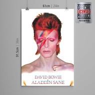 David Bowie Aladdin Sane Music Pinup Poster