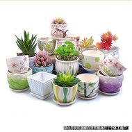 Succulent Flower Pot Ceramic with Tray Price Large Diameter Large Fortune Tree Pot Household Succulent Flower Pot