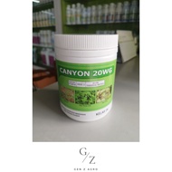 (250g) Hextar Herbicide Canyon 20WG (Metsulfuron-Methyl 20%) / Racun Rumput macam Ally/ 除草剂