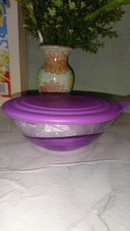 Clearance Lelong Tupperware below RM35