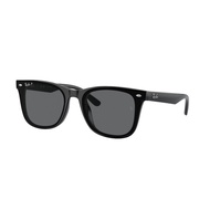 - RB4391D 601/81 65 Black Sunglasses