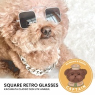 RETRO DOG CAT GLASSES PET SQUARE GLASSES BICHON BSH