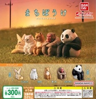 最後一套 Bandai Machiboke まちぼうけ 等待中的動物 公仔 第1彈 P1 扭蛋 轉蛋 模型 等待動物 等候動物 發呆動物 (全套5隻) 熊貓 馬騮仔 柴犬 白貓 耳廓狐