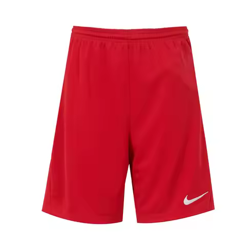 Nike Youth Shorts Quick-Drying Breathable Shorts Running Fitness Casual Sports Shorts Hf0531-657