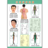 Gua Sha Human Body Meridian Chart Acupoint Chart Moxibustion Wall Chart Gua Sha Acupoint Chart Profe