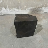 bahan kayu galih kelor hitam original dari pohon kelor