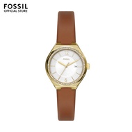 Fossil Women's Eevie Analog Watch ( BQ3957 ) - Quartz, Gold Case, Round Dial, 8 MM Multi Colour Leat
