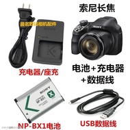 Sony NP-BX1 Battery Charger for Sony DSC-H400 Telephoto Camera Accessories
