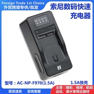 Fengbiao NP-F970 Battery Charger Suitable for Sony Charger F750/F550/F980 Dual Charger Cradle Charge