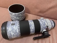 Sony FE 200-600mm