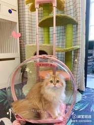 貓狗透明行李箱 M size