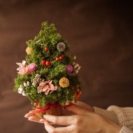 Fleurir朵朵時光 |聖誕樹 聖誕小樹 乾燥花 松果聖誕花圈交換禮物