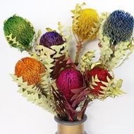 Dried Flower Class Chen Set Imported Simubek Flower Arrangement Soft Model Room Shop High-End Hotel 