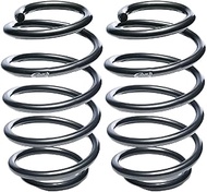 EIBACH 10-20-017-02-20 Pro Kit Spring BMW X6 (E71) Rear Air Suss Car