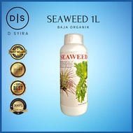 1L B’Green Seaweed/Rumpai Laut Hormon Penggalak Pertumbuhan Semulajadi Terbaik